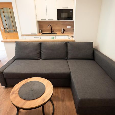 Apartman U Lanovky Яхимов Экстерьер фото