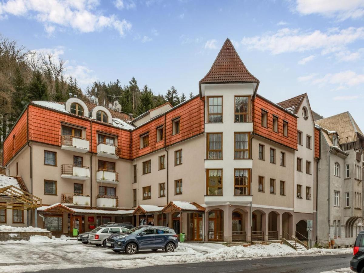 Apartman U Lanovky Яхимов Экстерьер фото